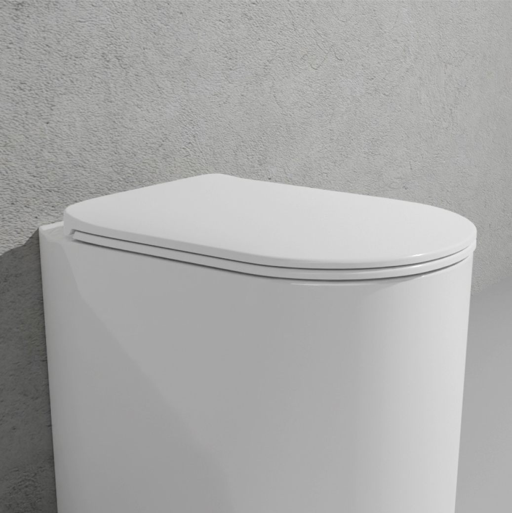 Сидіння для унітазу Flaminia ASTRA (ASCW05) ціна 6521 грн - фотографія 2