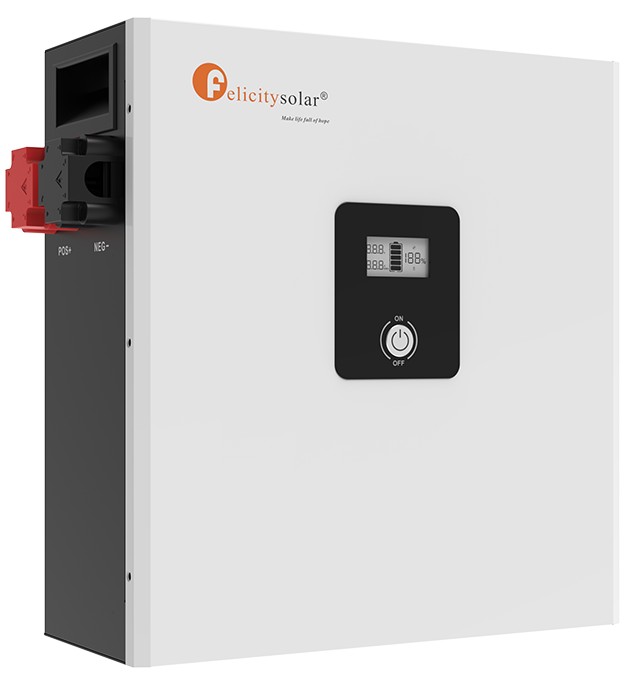 Аккумуляторная батарея FelicityESS LPBF24200-A LiFePO4 24V 200Ah цена 51000 грн - фотография 2