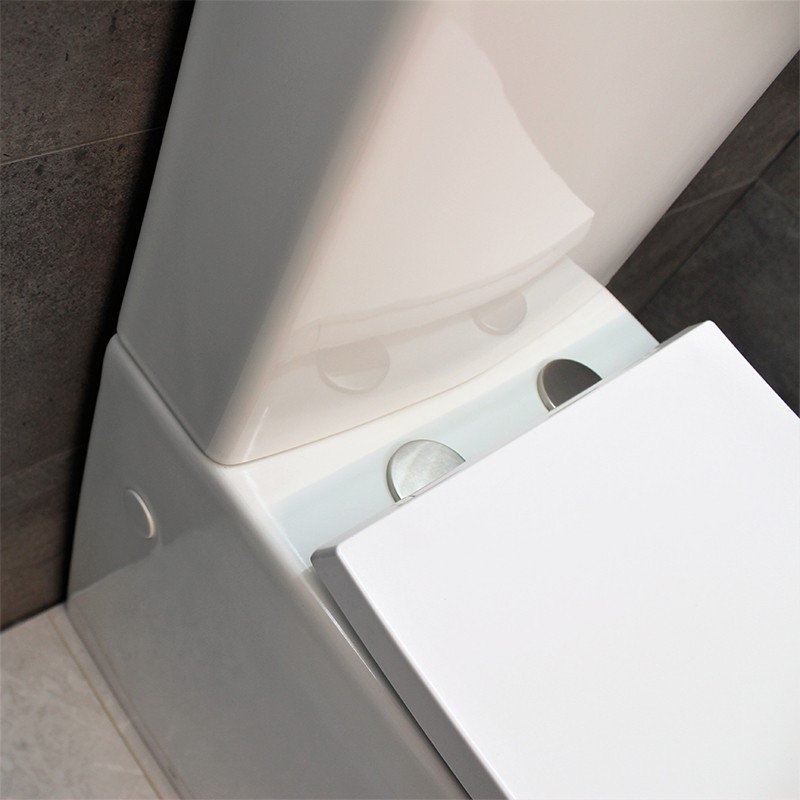 обзор товара Унитаз-компакт Dusel Marseille DTPT10212730R - фотография 12