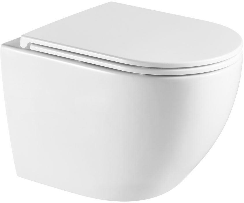 Унитаз подвесной Omnires Ottawa Comfort 54x36,5 White gloss (OTTAWACMWBP)