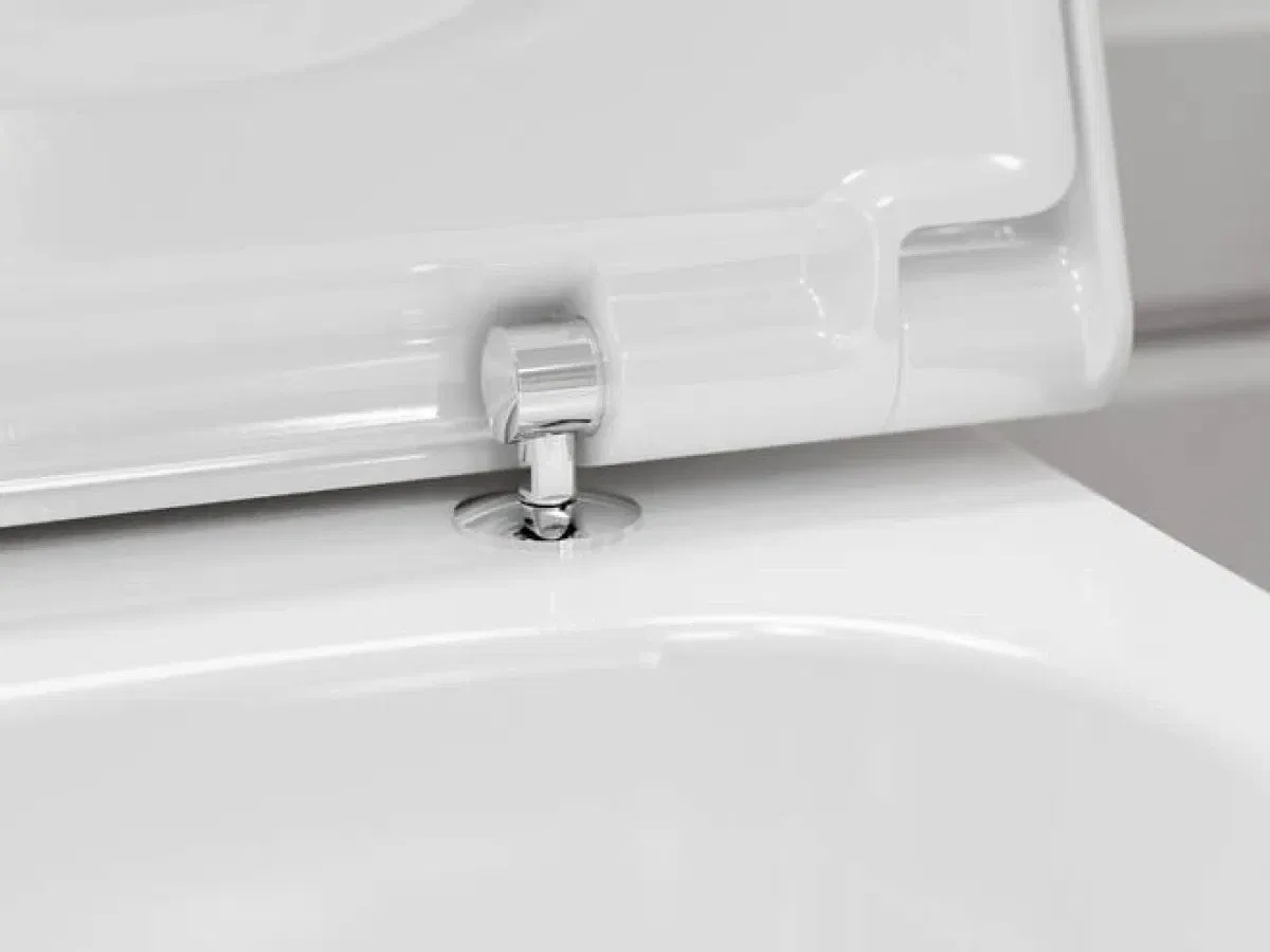 Комплект инсталляции с унитазом Hansgrohe iFrame + EluPura Q (60301100) характеристики - фотография 7