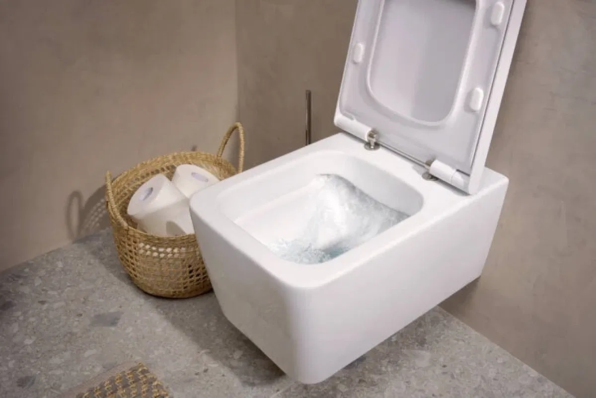 Комплект инсталляции с унитазом Hansgrohe iFrame + EluPura Q (60301100) обзор - фото 8