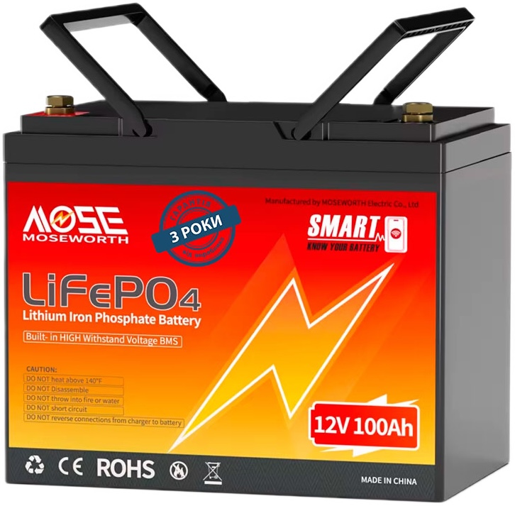 Аккумулятор Moseworth LiFePO4 12V 100 Ah Smart (1280Wh) (BMS 100A)