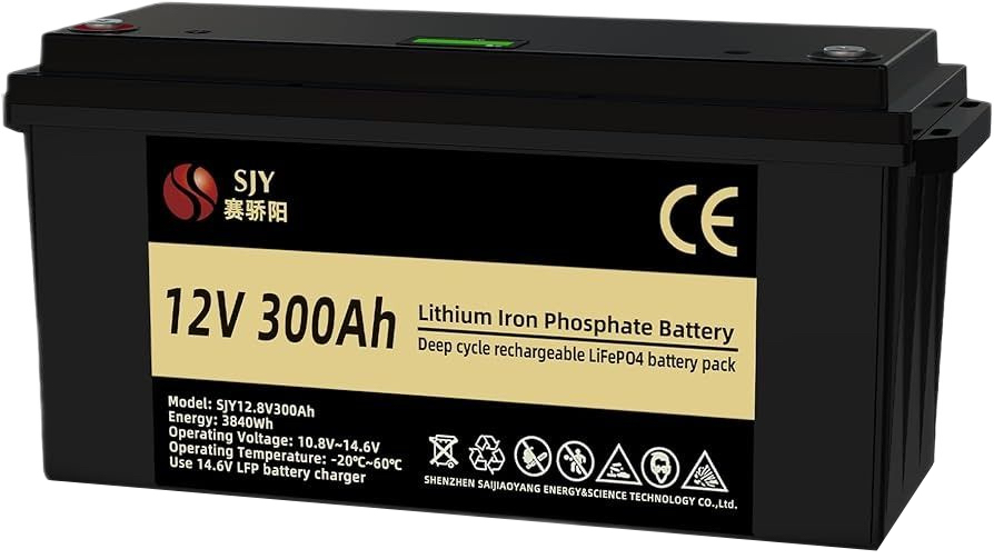 Аккумулятор SJY LiFePO4 12V 300 Ah LCD (3840Wh) (BMS50/200A)