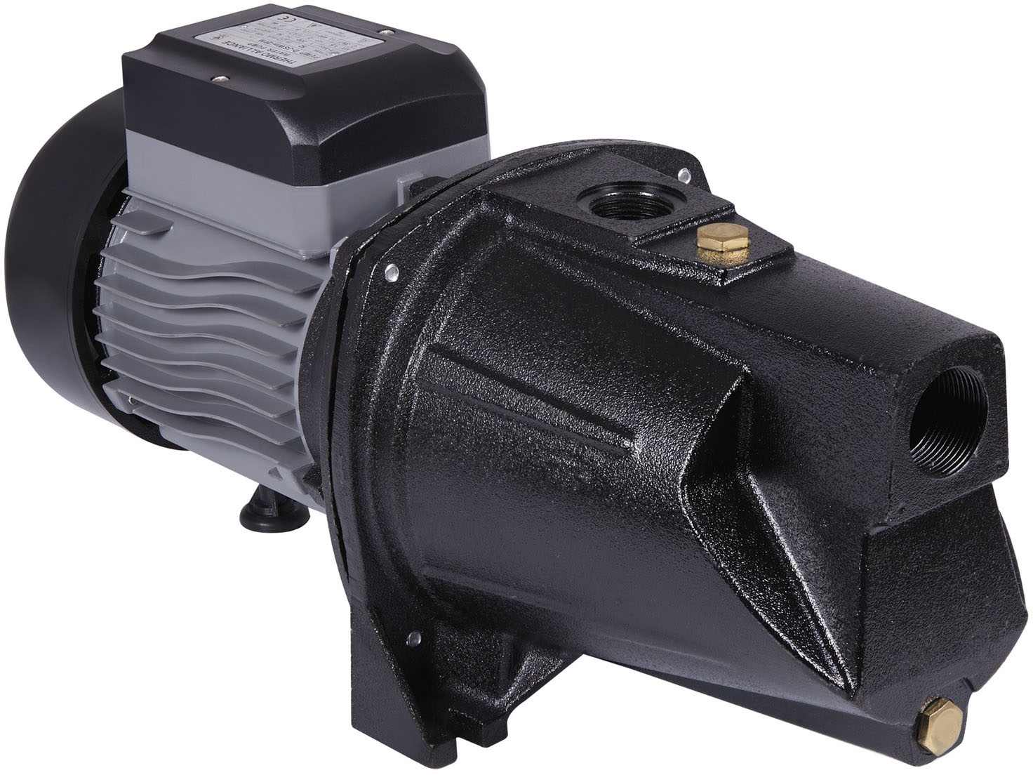 Характеристики насос Thermo Alliance D-JSWm-15M 1,1 кВт (TADJSWM15M11)