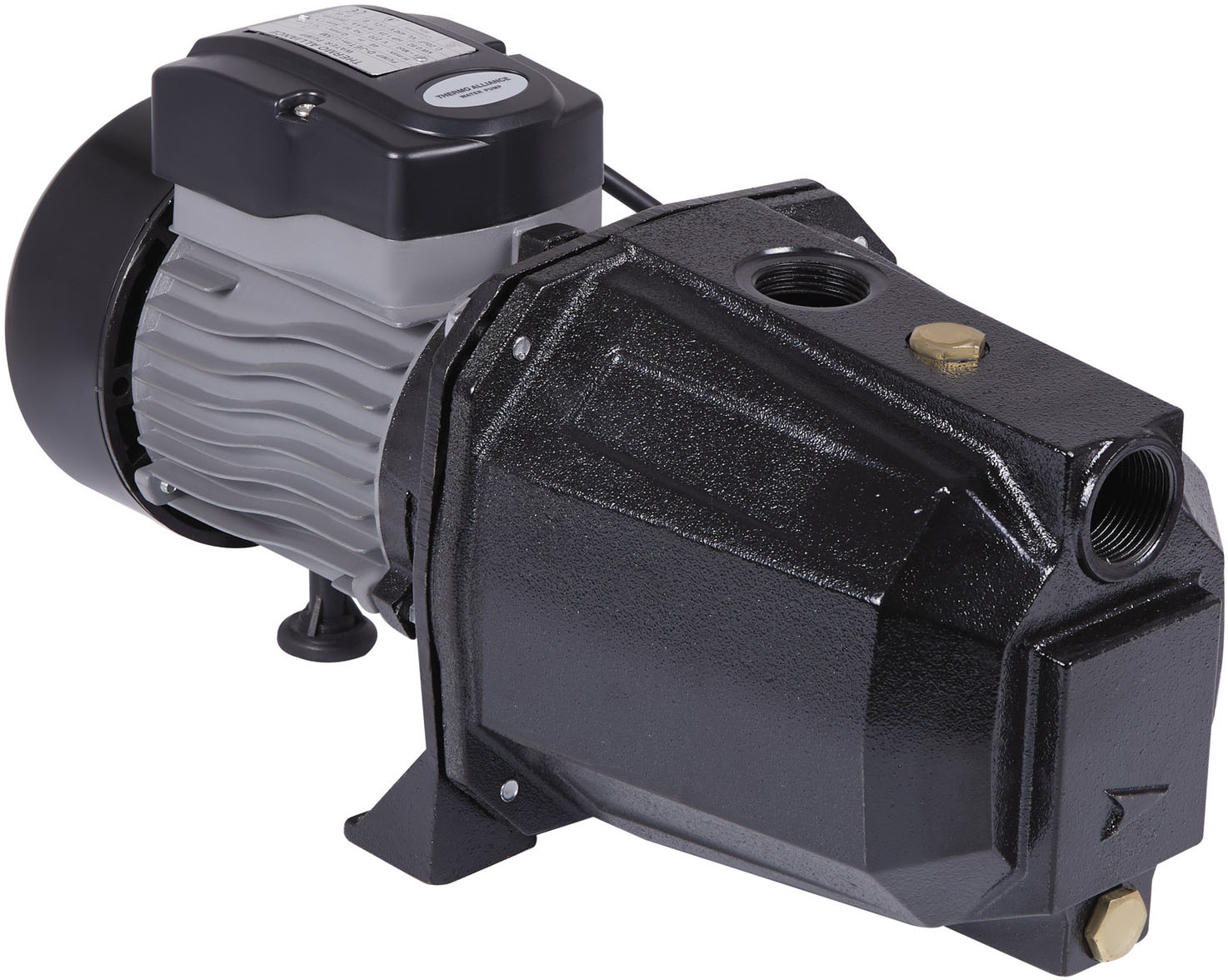 Ціна насос Thermo Alliance D-JETm-100M 0,75 кВт (TADJETM100M075) в Києві