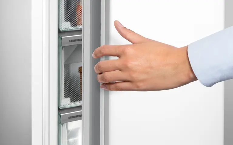 товар Liebherr SFNsfd 5227 - фото 13