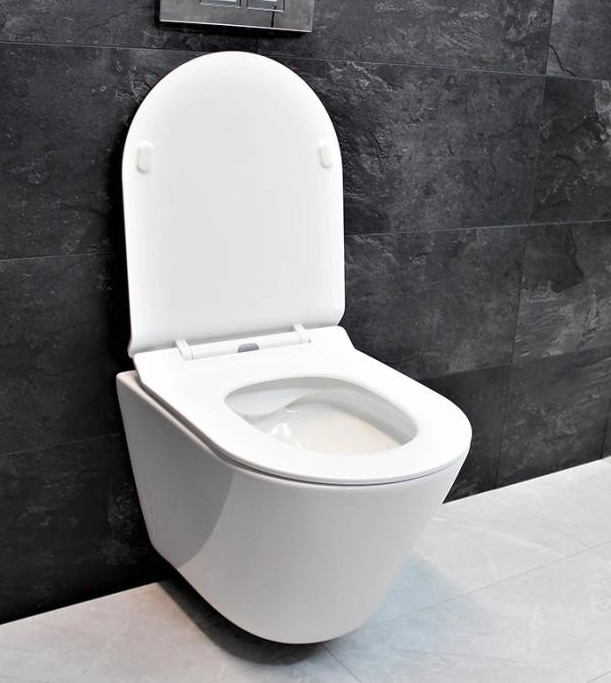 Grohe Rapid SL 38772001 + Dusel Teri DWHT10202330 + сидение + панель смыва (928811) в магазине в Киеве - фото 10