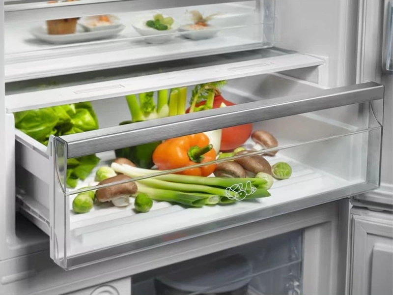 Холодильник Electrolux LNT6ME46X3 відгуки - зображення 5