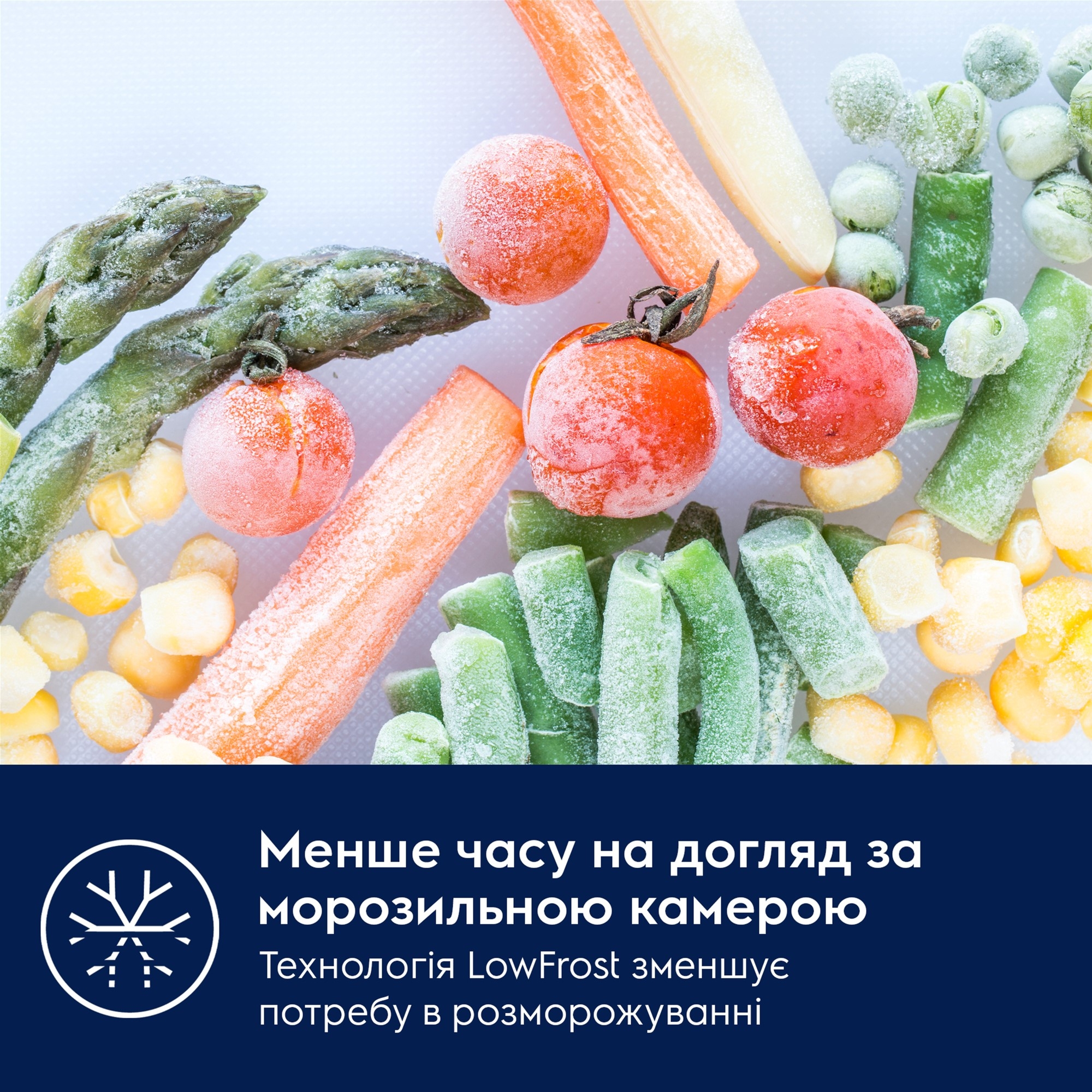 Холодильник Electrolux LNA6LE18S зовнішній вигляд - фото 9