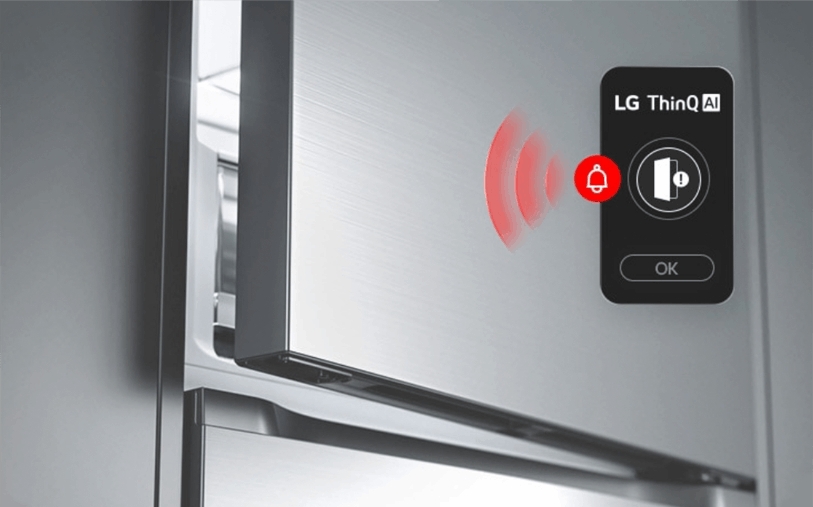внешность товара Холодильник LG GC-B459EMYM - 26
