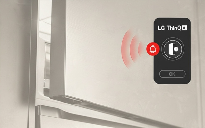 внешность товара Холодильник LG GC-B459EEYM - 26