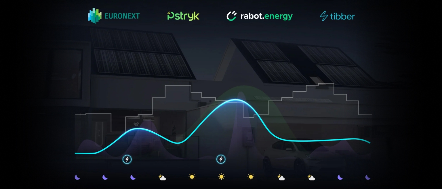 Система резервного живлення Marstek Venus-D 2200W 2560Wh огляд - фото 11