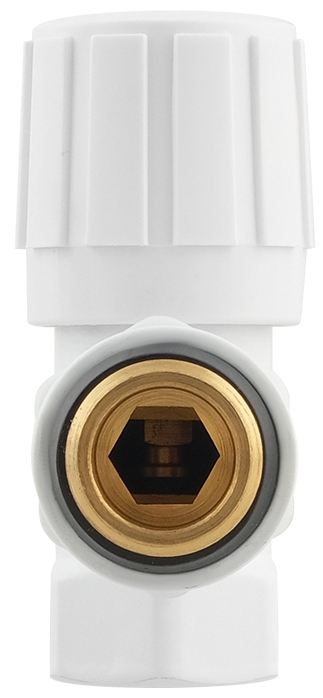 обзор товара Комплект клапанов Raftec 1/2" White (DKU11-W) - фотография 12