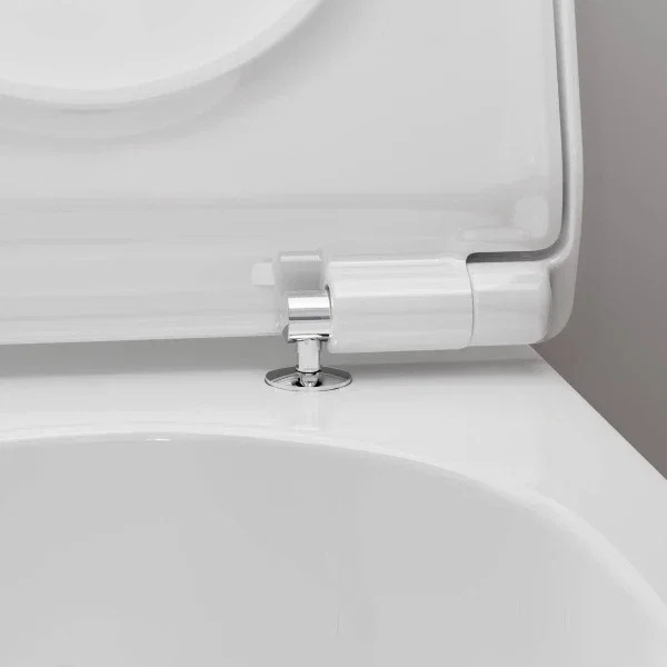 Унітаз підвісний Hansgrohe EluPura S 62025450 відгуки - зображення 5